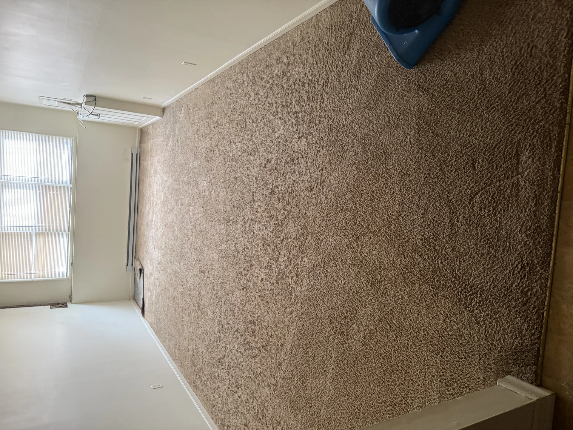 Beige carpeted room with white trim and natural lighting from window by SF Construction in Sudbury, MA