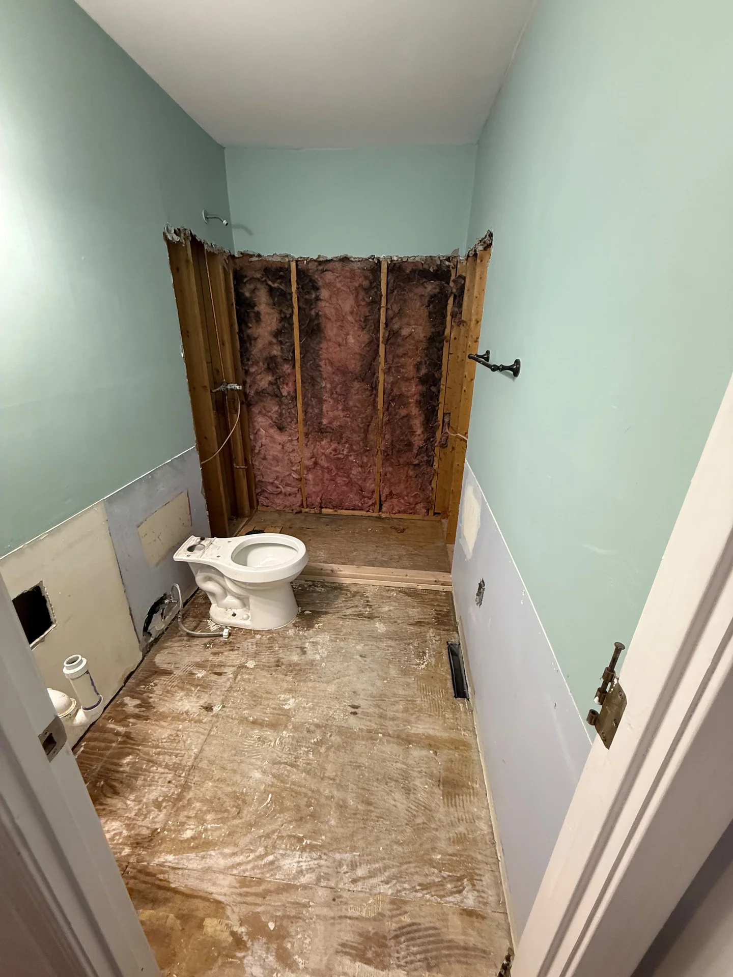 Bathroom undergoing renovation with exposed studs, insulation, light blue paint, and a toilet on subfloor. by SF Construction